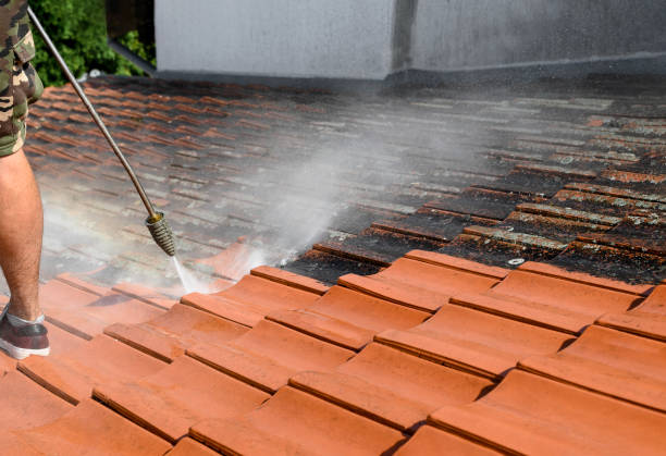Roof Power Washing Services in Charlotte, MI