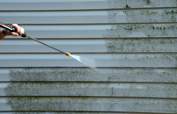Best Fence Pressure Washing  in Charlotte, MI
