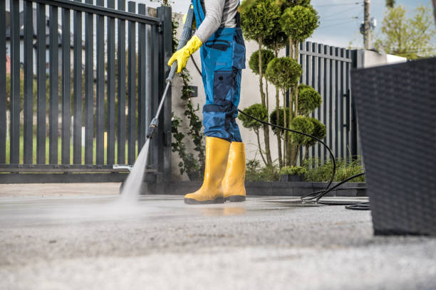 Best Roof Power Washing Services  in Charlotte, MI
