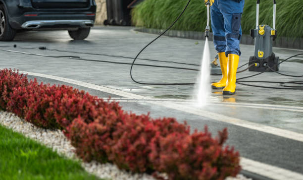 Best Best Pressure Washing Companies  in Charlotte, MI