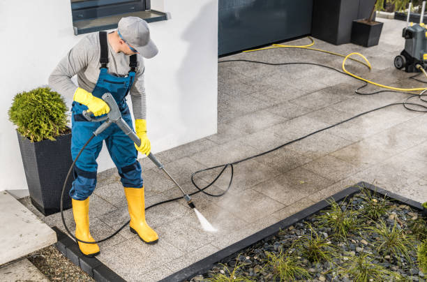 Best House Pressure Washing  in Charlotte, MI