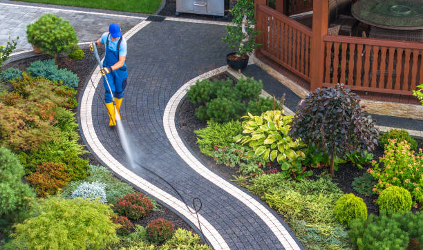 Best Pressure Washing Company Near Me  in Charlotte, MI