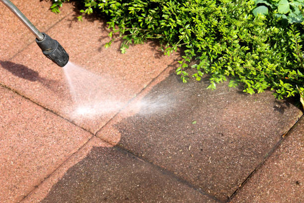 Best Pressure Washing Near Me  in Charlotte, MI