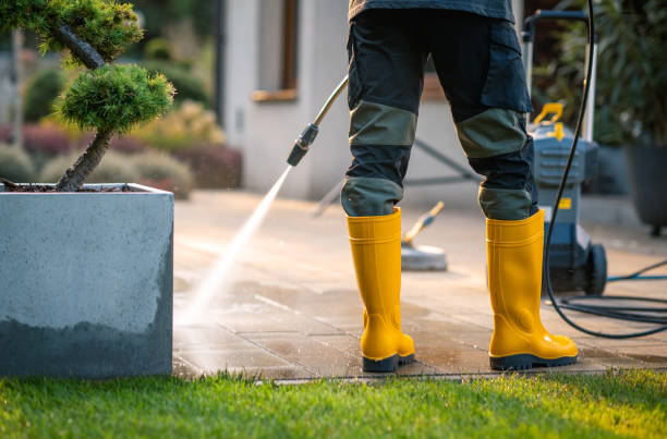 Best Power Washing Near Me  in Charlotte, MI